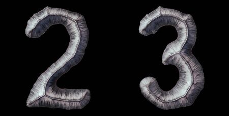 Set of numbers 2, 3 made of forged metal isolated on black background. 3d renderingの写真素材