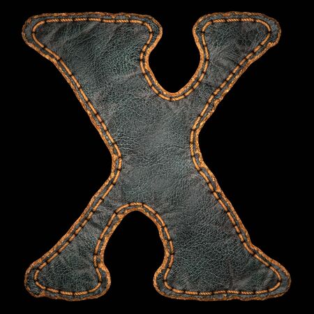 Leather letter X uppercase. 3D render font with skin texture isolated on black background. 3d renderingの写真素材