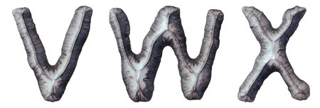 Set of capital letters V, W, X made of forged metal isolated on white background. 3d renderingの写真素材