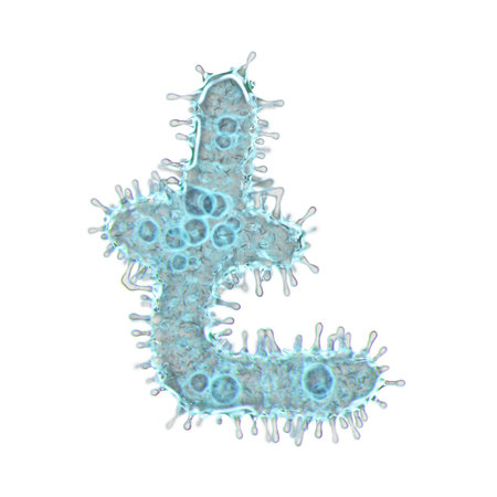Alphabet made of virus isolated on white background. Symbol litecoin. 3d rendering. Covid font,...