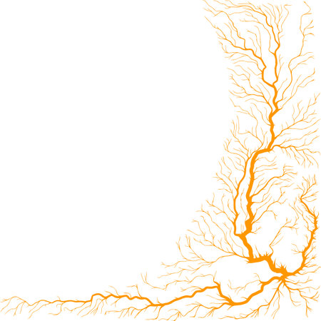 Abstract square shape illustration of tree roots.のイラスト素材