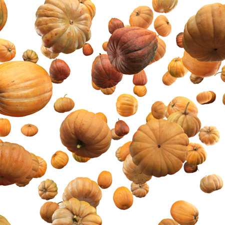 Falling Pumpkin isolated on white background, selective focusの写真素材