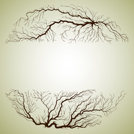 Abstract circle shape illustration of tree roots.のイラスト素材