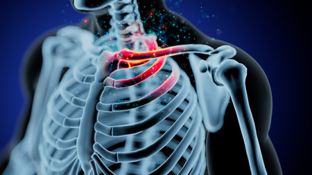 Radiant Insights: The Clavicle Unveiled in a Skeletons Embraceの写真素材