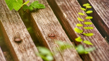 closeup shot of a wooden bench in the park that covered with weeds; wood processingの写真素材