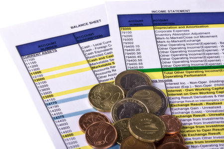Economic reports balance sheet, income statement and coins