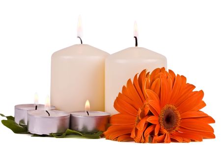 Burning candles and flowers gerbera on a white backgroundの写真素材