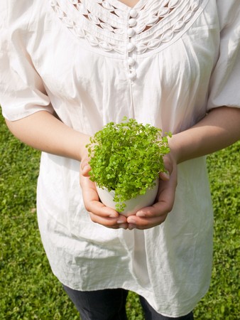 Young woman holding potted plantの写真素材