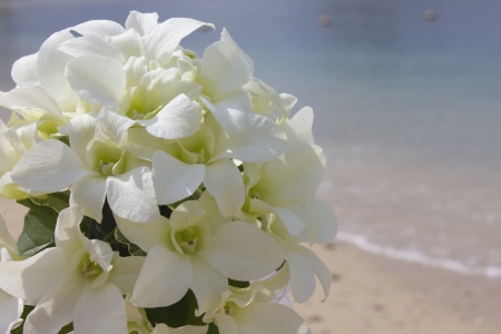 Wedding bouquetの写真素材