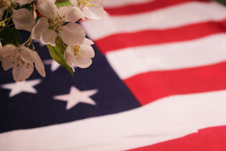 Apple blossoms and the U.S. flag. The concept of Independence Day, Remembrance Day, Elections.の写真素材
