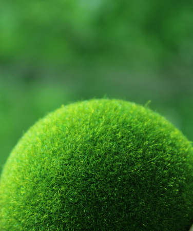 A green ball of grass on a green background. Earth Day. Ecological concept.の写真素材