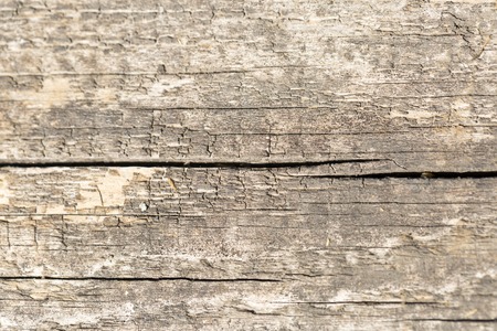 Brown wood texture. Abstract background, empty templateの写真素材