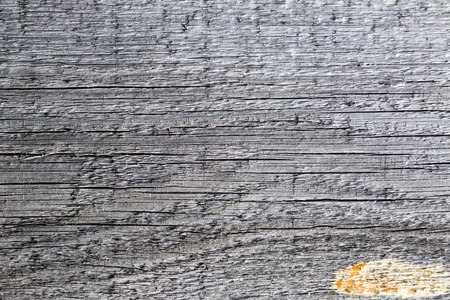 Old pine wooden planks surface rough textureの写真素材