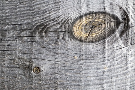 Old pine boards with knots macro Textureの写真素材