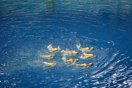 MOSCOW, RUSSIA - APRIL 1, 2016: Women's teams Championship in synchronized swimming at the indoor poolのeditorial素材