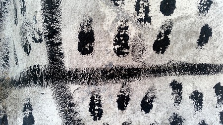The textured surface of the wall. The idea for the design for the decoration of the walls in the roomsの写真素材