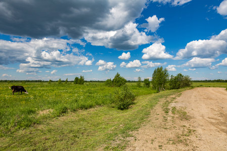 Kind of a traditional rural landscape in Russia on a summer dayの写真素材