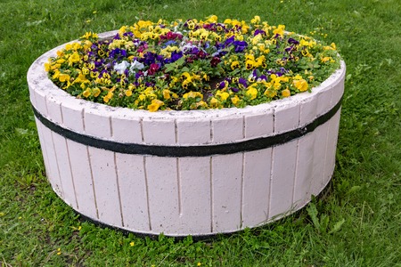 Summer stone flower bed with colorful plants in the city parkの写真素材