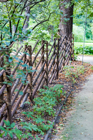 Fence from the trunks of trees in the green city parkの写真素材