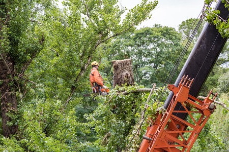 A man in a uniform rescues the consequences of a devastating hurricaneの写真素材