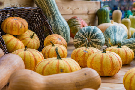 An unusual large orange pumpkin in the backyard of a farm