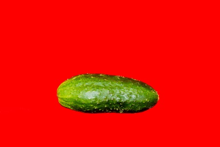 Large fresh green cucumber on a bright red backgroundの写真素材
