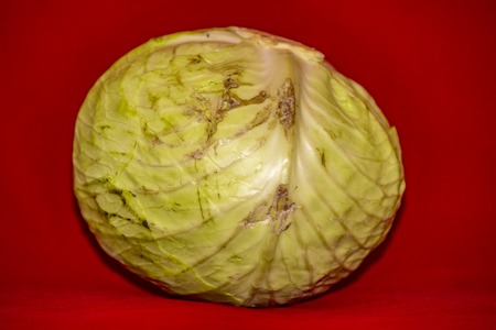 Large juicy green cabbage head on a bright red backgroundの写真素材