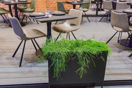 European city cafe with vacant table and chair waiting for the clientの写真素材