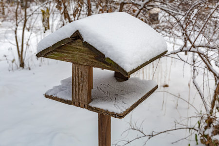 Wooden Bird Feeder In The Snow Covered Winter City Park Royalty