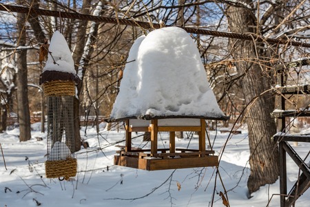 Wooden bird feeder in the snow-covered winter city parkの写真素材