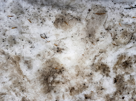 Textured surface of dirty gray snow after winterの写真素材