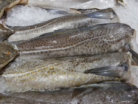 A lot of fresh raw fish on store shelve