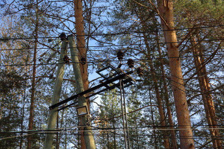 Old wooden poles of high voltage power lines in the forest