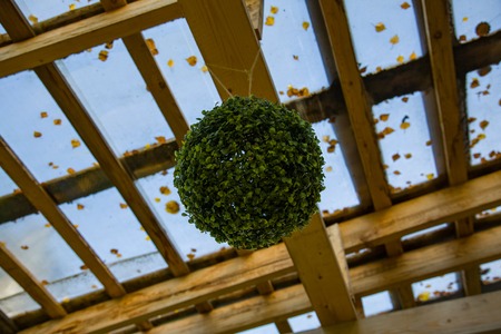 Decorative ball of fresh green plants hanging in the gazebo in the gardenの写真素材