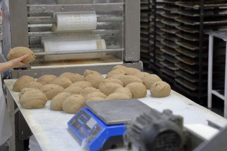 Industrial equipment and machinery at the factory of bread and sweets