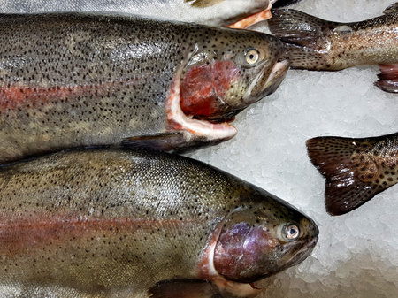 A lot of fresh raw fish on store shelve with ice