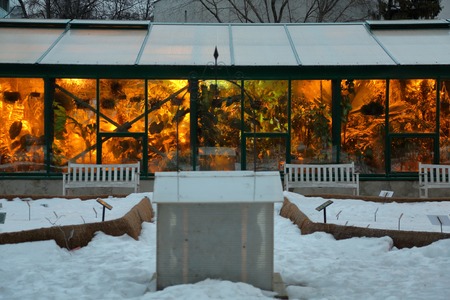 Moscow, Russia - March 11, 2019: A glass greenhouse with tropical and exotic plants in the Pharmaceutical Gardenのeditorial素材