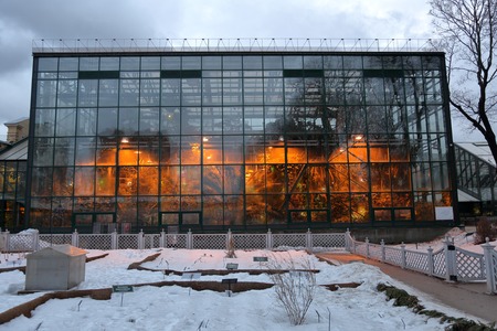 Moscow, Russia - March 11, 2019: A glass greenhouse with tropical and exotic plants in the Pharmaceutical Gardenのeditorial素材