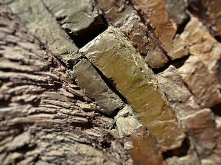 Fragment of a textured old brown brick wall