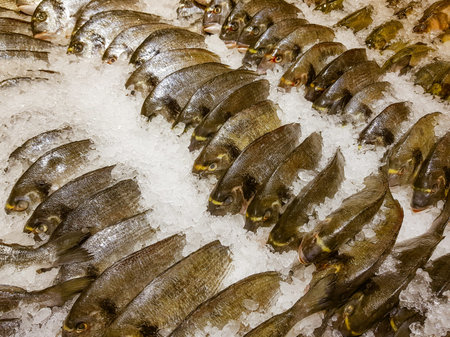 A lot of fresh raw fish on store shelve with ice