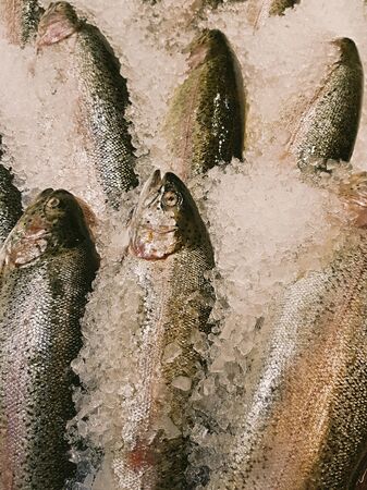 A lot of fresh raw fish on store shelve with iceの写真素材