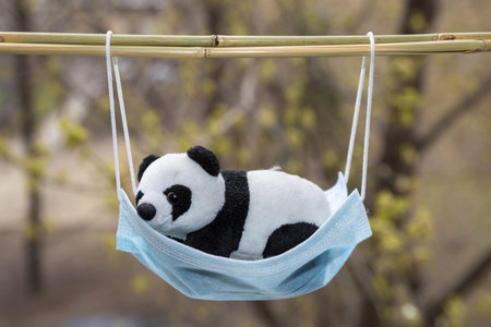 A soft toy panda lies inside a blue medical mask