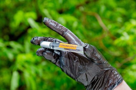 Doctor s hand in a protective glove holds a glass test-tube with a test for coronavirusの写真素材