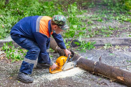 Worker in uniform with a chainsaw sawing a tree that fell during a hurricaneの写真素材