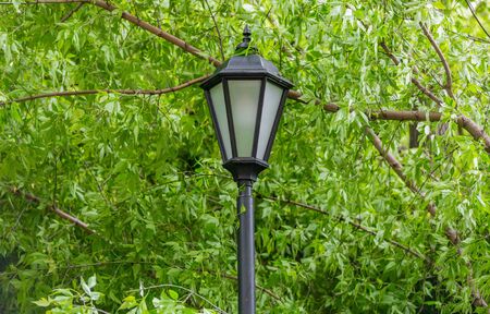 Vintage black iron lantern on a city streetの写真素材