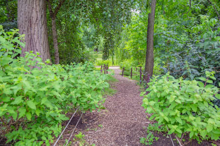 A path for pedestrians to walk in a modern green city park in the summer daytimeの写真素材