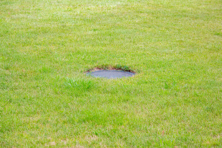 Trimmed lawn with a bright green lush grass