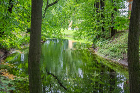 City summer park with a picturesque shady stream and greeneryの写真素材