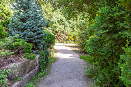 A path for pedestrians to walk in a modern green city park in the summer daytime