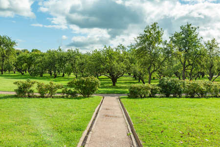 A path for pedestrians to walk in a modern green city park in the summer daytimeの写真素材